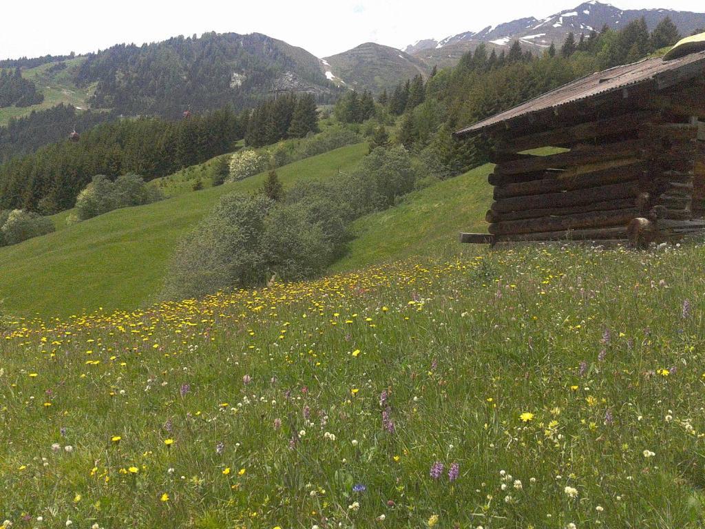 Apart Panoramablick Kaunerberg Exteriör bild